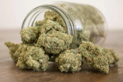 Belgium Cannabis - Online Order