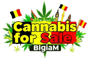 Cannabis sales in Belgium