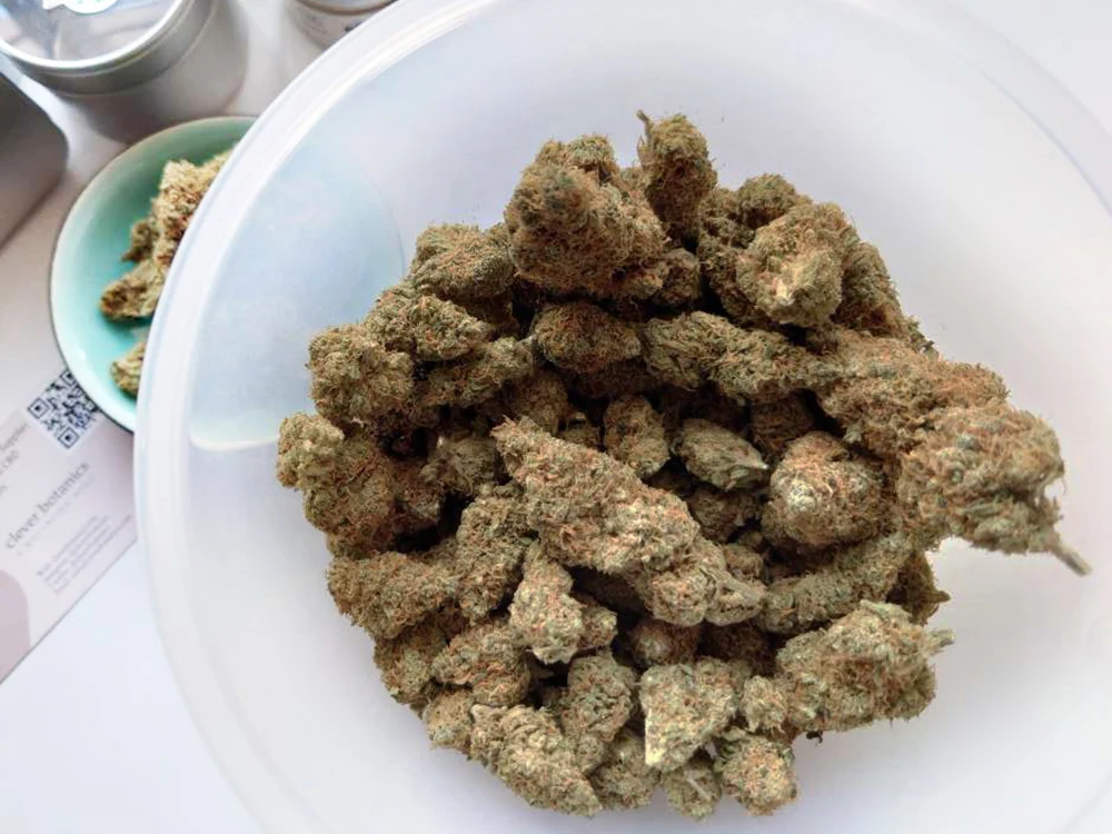 Amnesia Haze Belgium